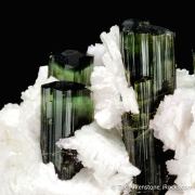 Elbaite Tourmaline and Lepidolite in Cleavelandite