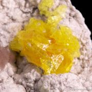 Jouravskite with Xonotlite on Oyelite