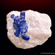 Lazurite (Lapis) ps. Phlogopite on Calcite