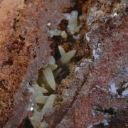 Legrandite with Smithsonite etc.