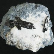 Neptunite on Natrolite