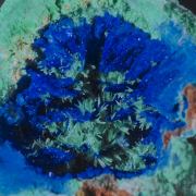 Olivenite, Conichalcite and Azurite