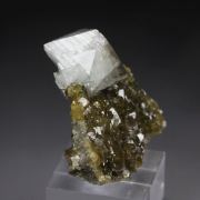 gemmy WARDITE, EOSPHORITE