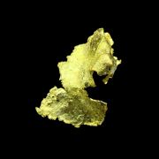 Leaf Gold
