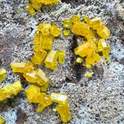 Mimetite
