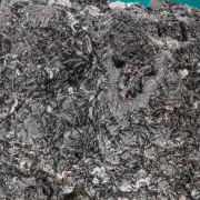 Miargyrite 