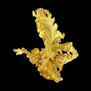 Gold TN!