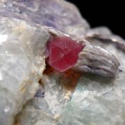 Pezzottaite on Lepidolite, Amazonite