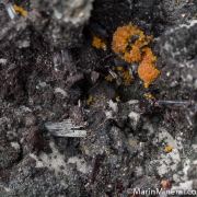 Hutchinsonite with Orpiment