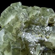 Fluorapatite with Muscovite