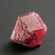 Tourmaline Double Terminated – Anjanabonoina, Madagascar