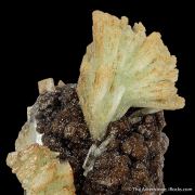 Paravauxite (Type Locality)