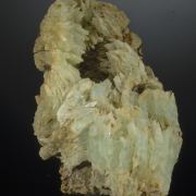 Phosphophyllite - crystals in fossil clamshell cast.