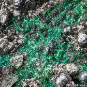Heterogenite with Chrysocolla