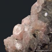 Pink Fluorapophyllite-(K) on Calcite