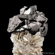 Cassiterite on Muscovite