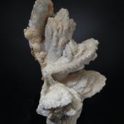 Apatite (Carbonate Apatite -Collophane) ps after Vivianite with Calcite