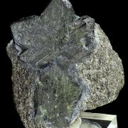 Chrysoberyl