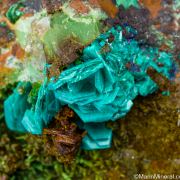Chalcophyllite