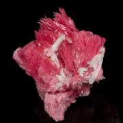 Rhodonite with Quartz