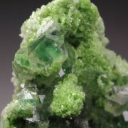 gem GARNET var. GROSSULAR with GREEN CHROMIAN PHANTOMS, DIOPSIDE