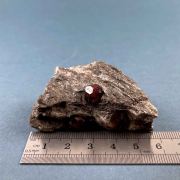 Garnet (almandine) - Fort Wrangell, Alaska, USA