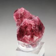 SPINEL