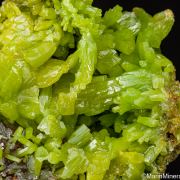 Pyromorphite