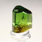 gem TOURMALINE var. DRAVITE