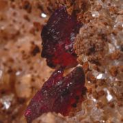 Wendwilsonite