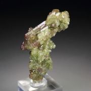 gem bi-terminated VESUVIANITE bi-color
