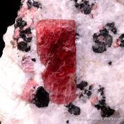 Rhodonite with Franklinite in Calcite