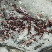 Kermesite with Quartz, Chalcopyrite and Stibnite