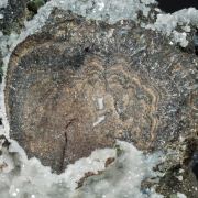 Galena with Sphalerite and Marcasite