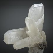 Quartz - Japan law / La Gardette law twins