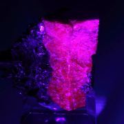 CORUNDUM var. RUBY, MUSCOVITE
