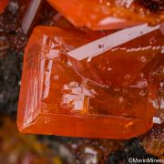 Wulfenite