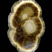 Baryte, marcasite