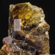 Vesuvianite