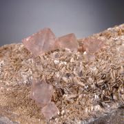 pink Fluorite - octahedrons on Muscovite