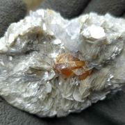 Scheelite on Muscovite
