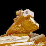 Wulfenite