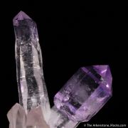 Quartz var. Amethyst (Scepter)