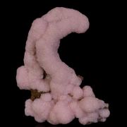 Rhodochrosite