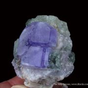 Fluorapatite on Apatite (Fluorescent)