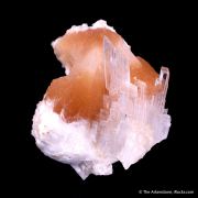 Prehnite with Pectolite