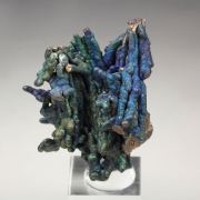CHALCOCITE, DJURLEITE