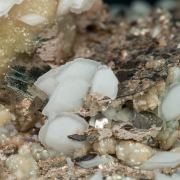 Calcite with Pyrite