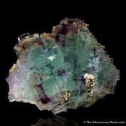 Fluorite with Pyrite