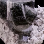 Fluorapatite